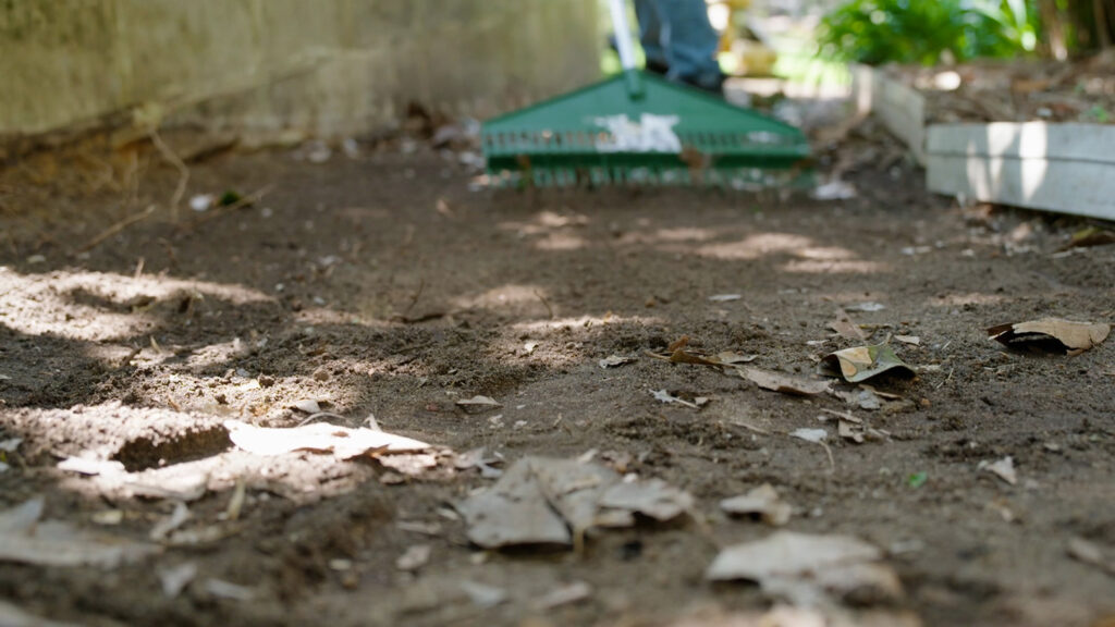 Dry garden landscaping with gravel and hardy plants