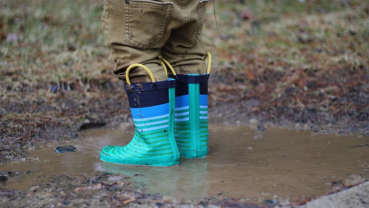Muddy, waterlogged lawn