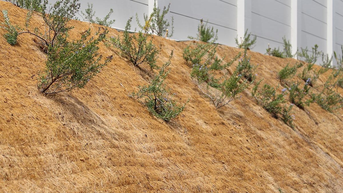 SmartMat Bio matting planted along a fence line