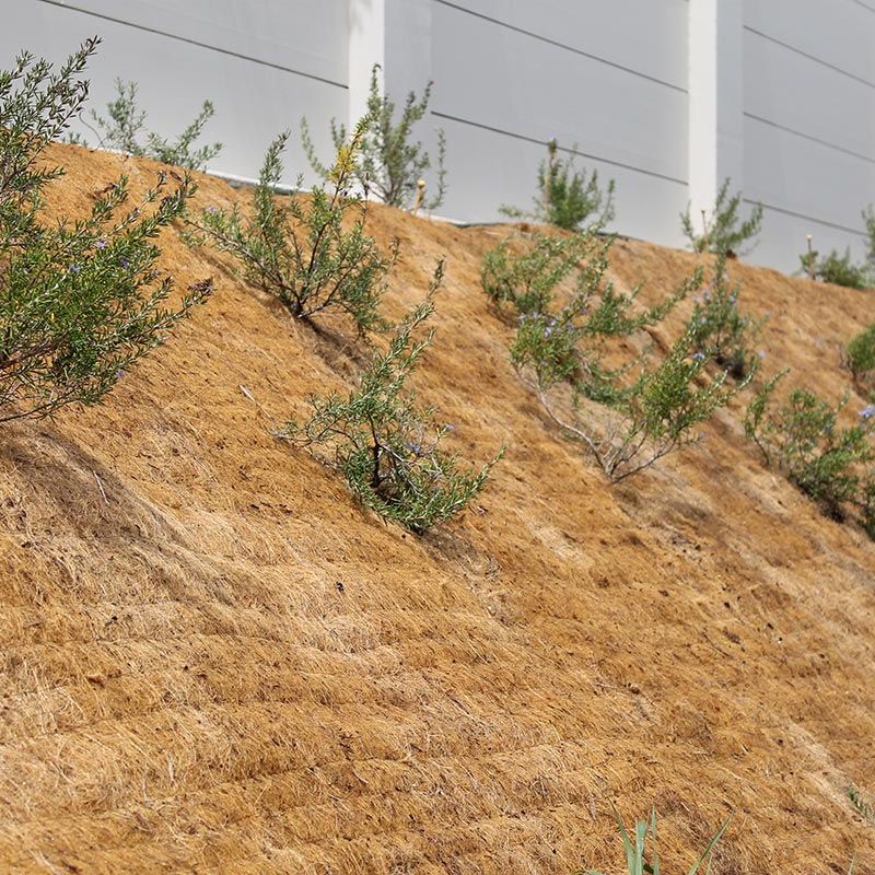 SmartMat Bio matting planted along a fence line