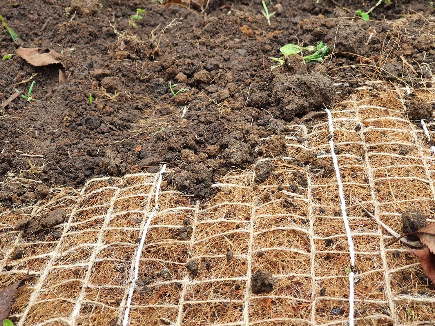 Slope covered with coconut matting