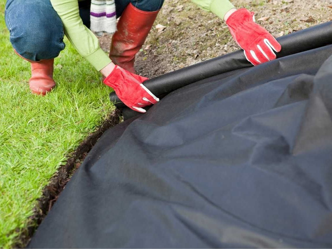 Gardener laying a weed barrier fabric