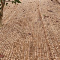 Plants growing through coconut matting