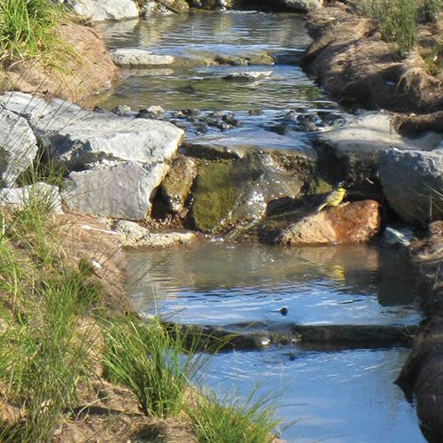 SmartMat Bio matting on a stream bank
