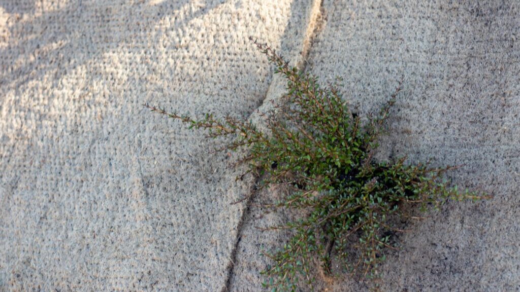 BioJute Jute Matting